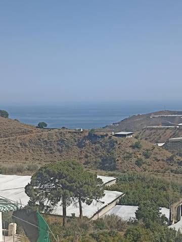 Piso en Venta en Calle el Cuarto, 97 en Haza del Trigo