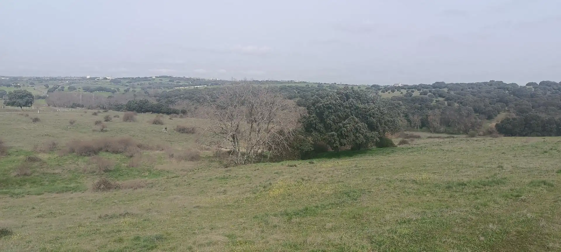 Terreno en venta en DSA-164, 34, Guijo de Ávila Terreno en venta en Guijo de Ávila