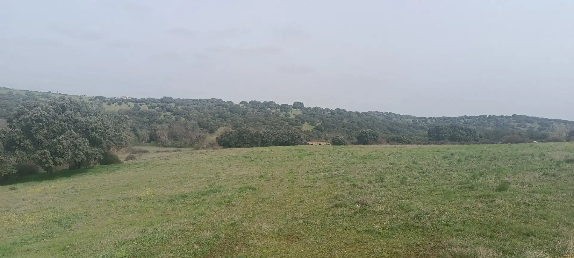 Terreno en venta en DSA-164, 34, Guijo de Ávila Terreno en venta en Guijo de Ávila