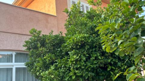 Photo 2 of House or chalet to rent in Carrer Vencill, 36, Son Ferrer, Illes Balears