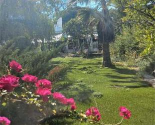 Jardí de Casa o xalet en venda en Bonares amb Calefacció, Jardí privat i Terrassa