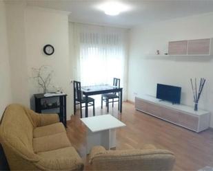 Sala d'estar de Apartament de lloguer en Lugo Capital amb Calefacció i Moblat