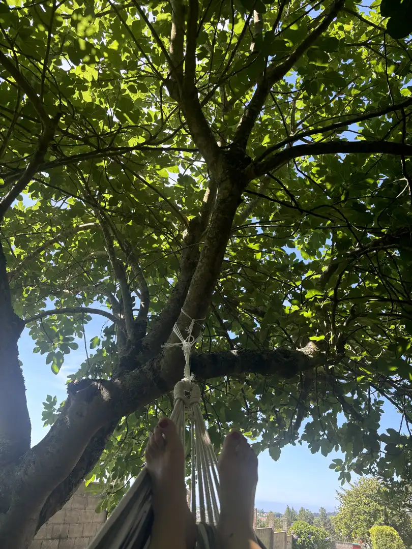 Pis de lloguer a Rúa Cabreira, 559, Maianca Jardí de Pis de lloguer en Oleiros amb Calefacció, Jardí privat i Terrassa