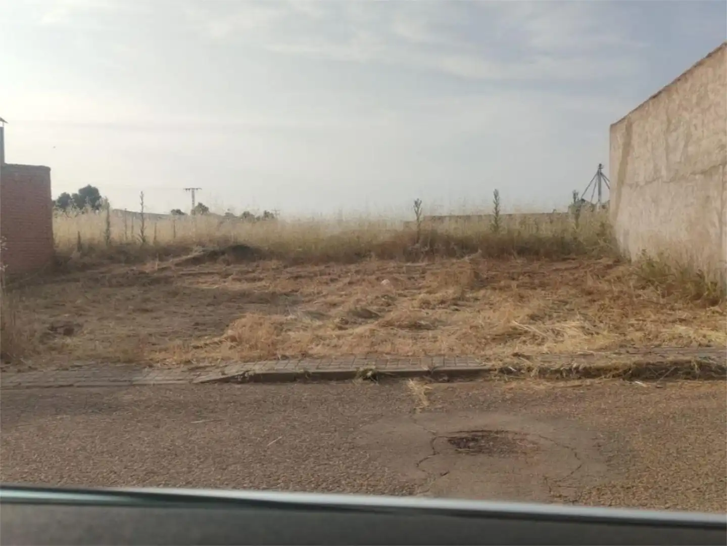 Constructible Land for sale in Consuegra