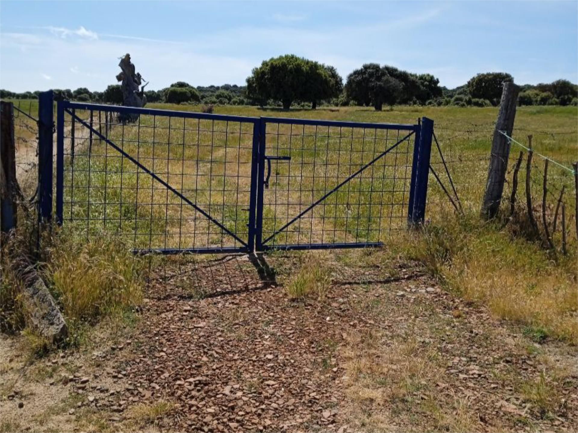 No Urbanitzable en venda en Zapardiel de la Cañada