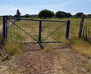Non-constructible Land for sale in Zapardiel de la Cañada