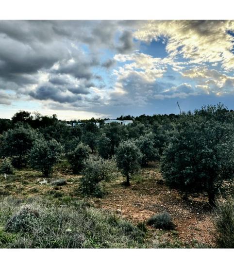 Foto 2 de Finca rústica en venda a Carrer Plaza de la Constitución, 7, Valdaracete, Madrid