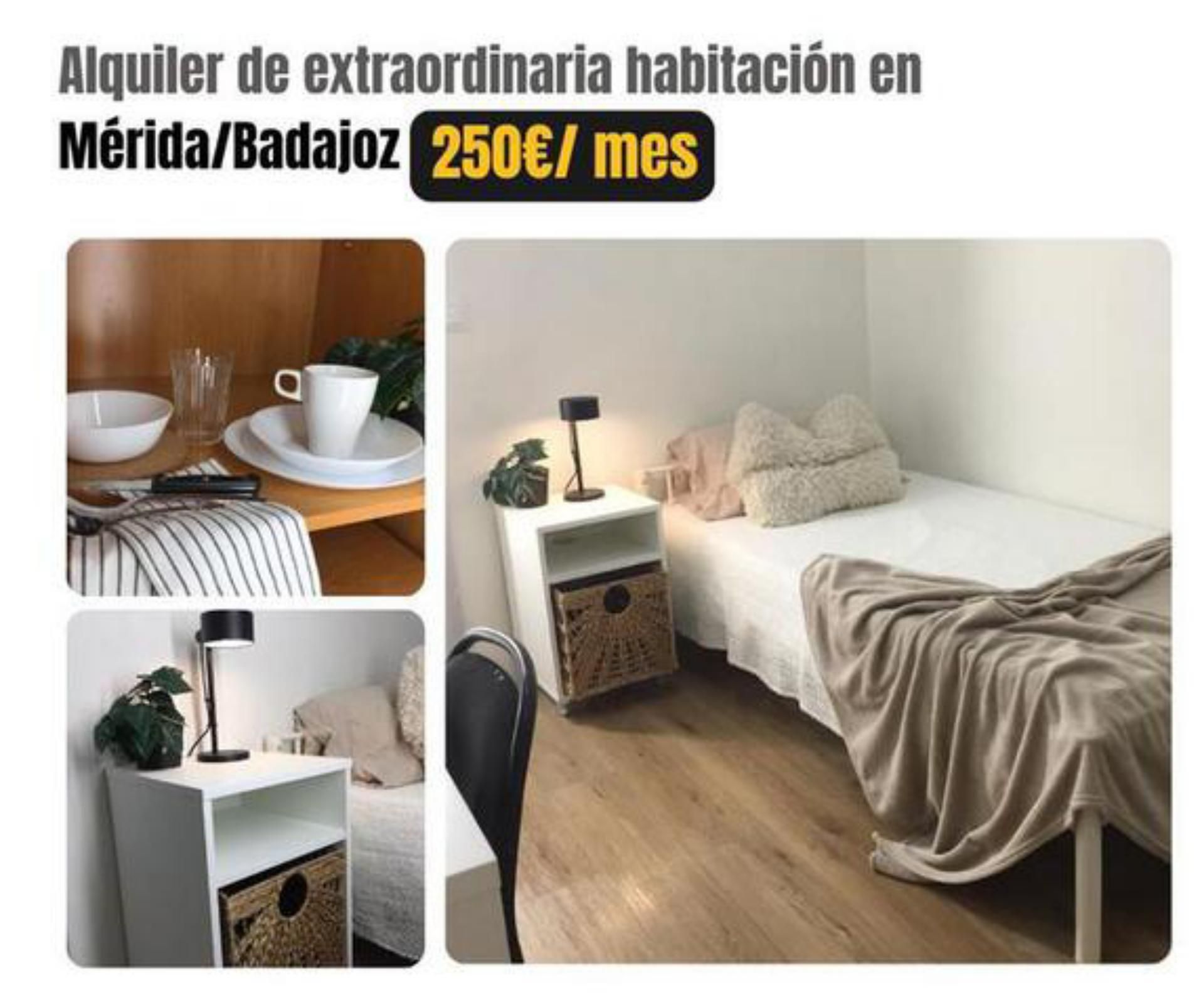 House or chalet to share in Este