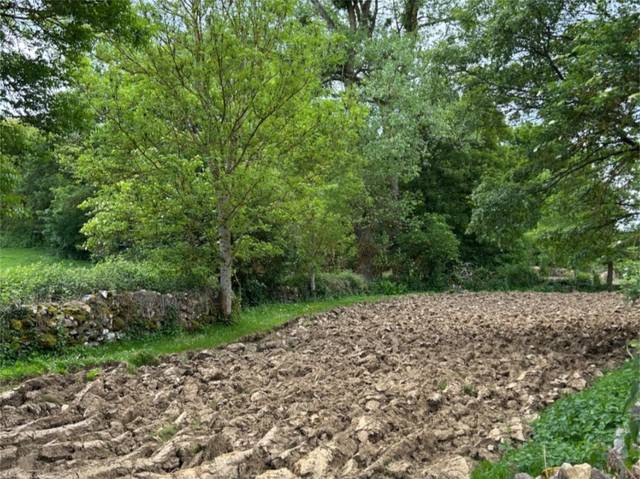 Terreno urbanizable en Venta en Calle Riaño, 24 en Valle de Valdebezana