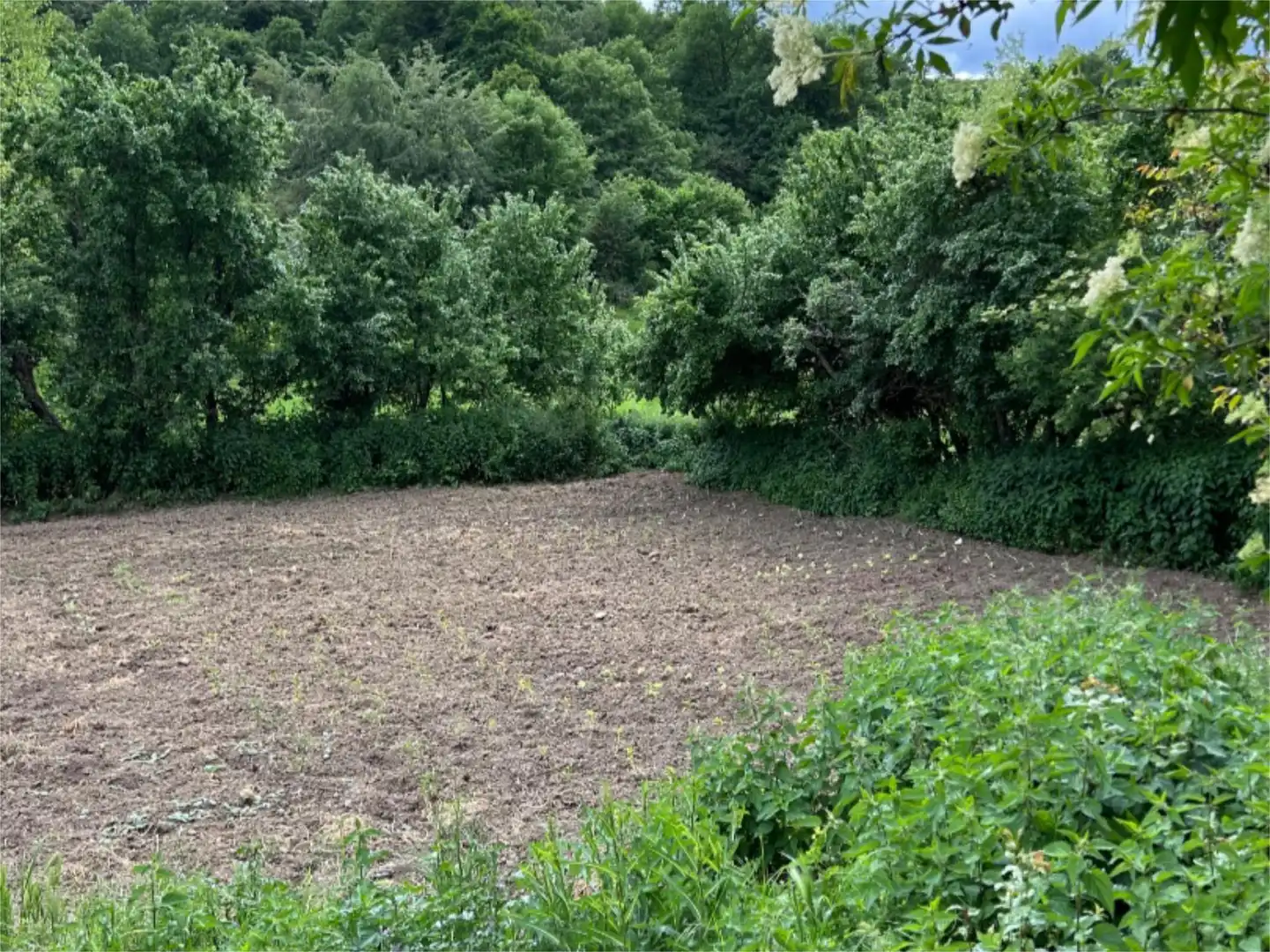 Urbanizable en venta en Valle de Valdebezana