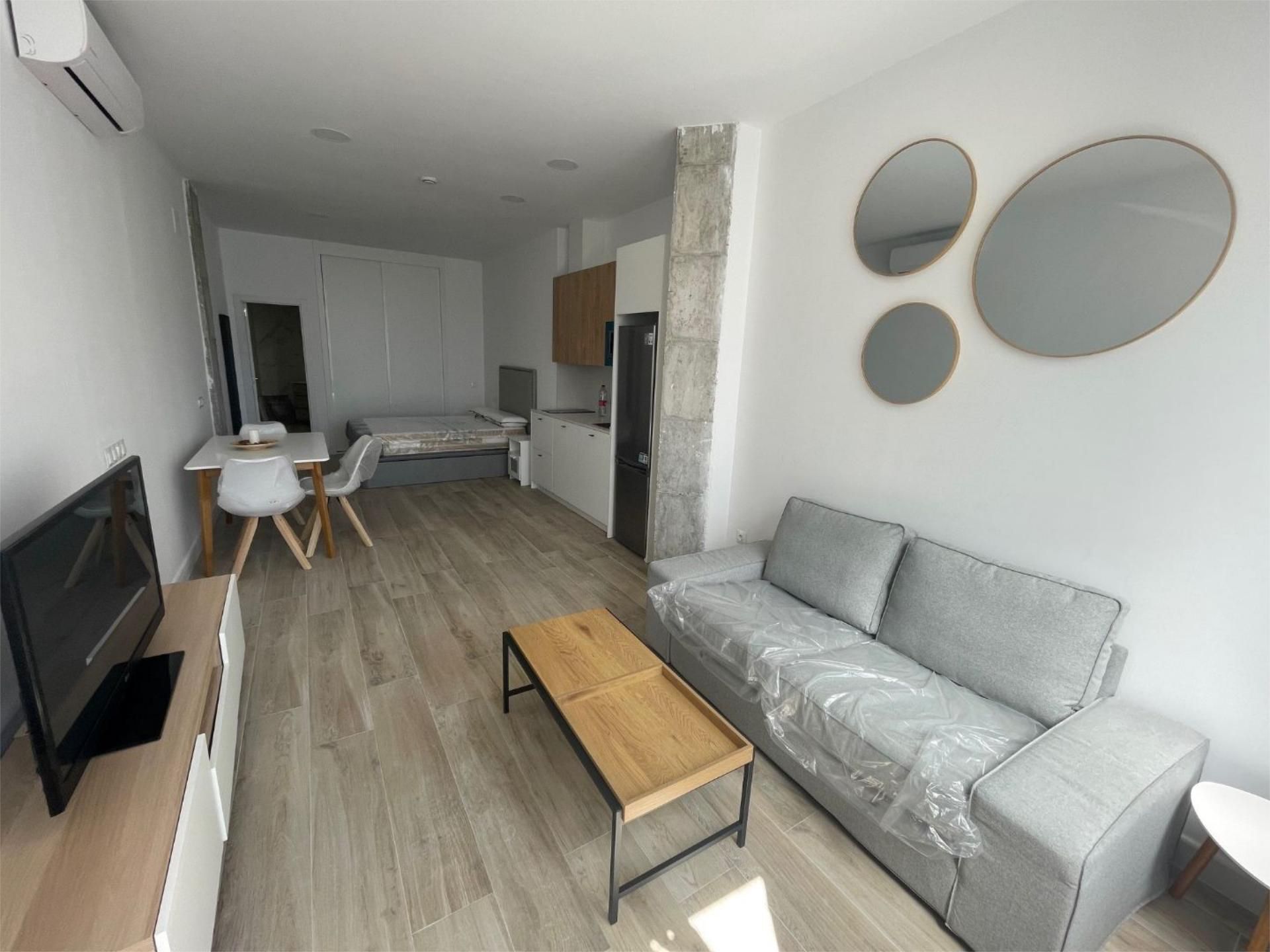 Sala d'estar de Estudi de lloguer en Málaga Capital amb Aire condicionat, Calefacció i Moblat