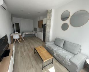 Living room of Study to rent in Málaga Capital  with Air Conditioner, Heating and Furnished