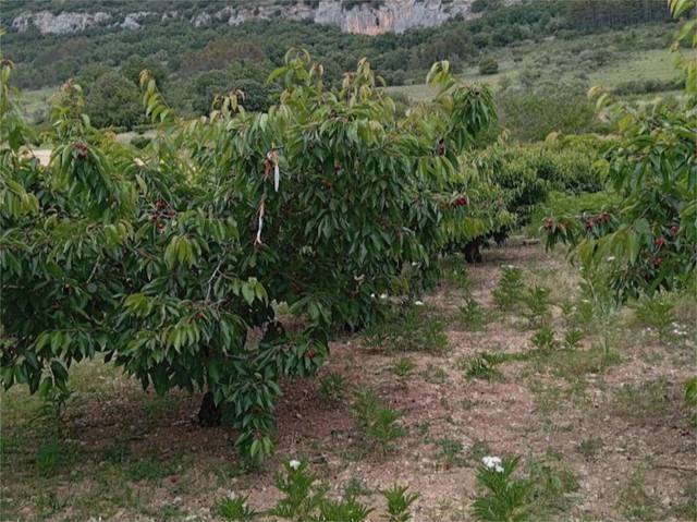 Terreno en Venta en Calle Gerezertea, 6 en Etxauri