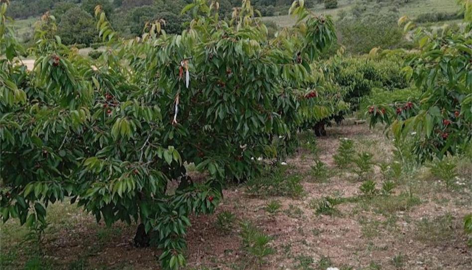 Foto 1 de Terreno en venta en Calle Gerezertea, 6, Etxauri, Navarra