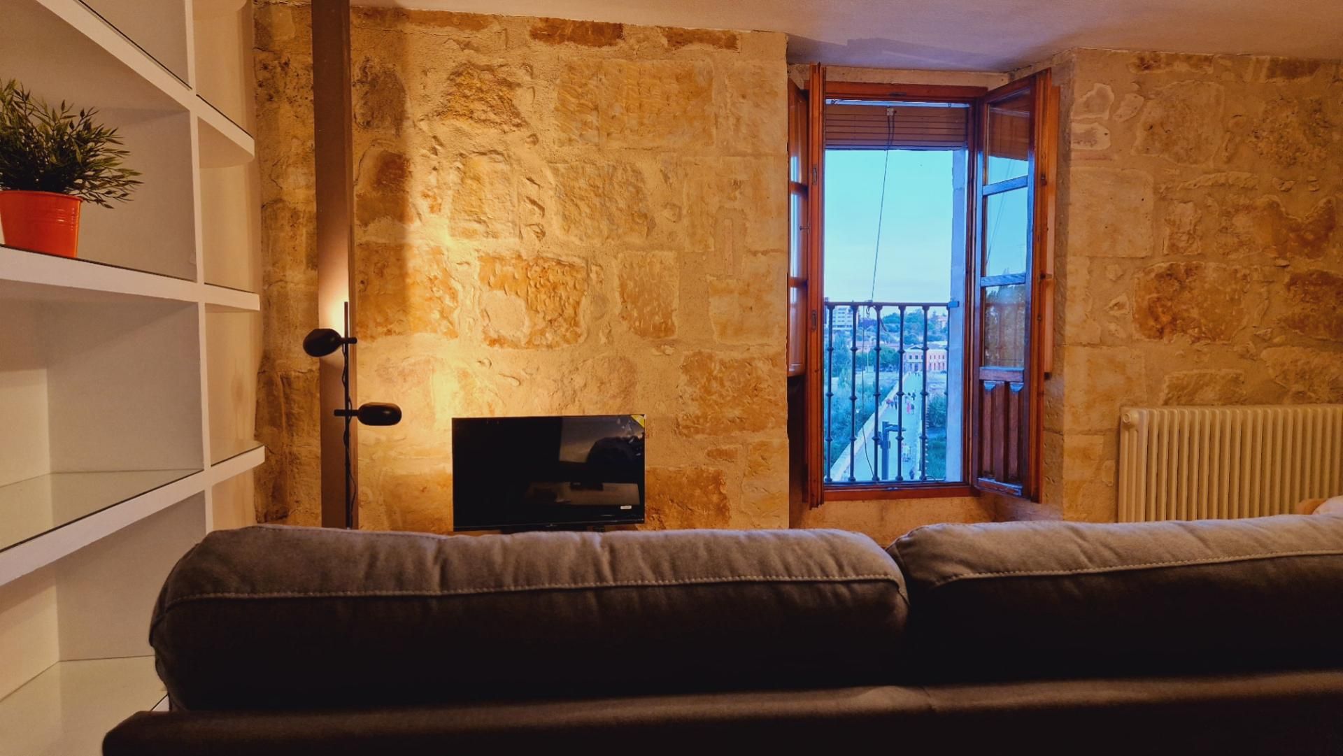 Living room of Study to rent in Salamanca Capital  with Heating, Parquet flooring and Furnished