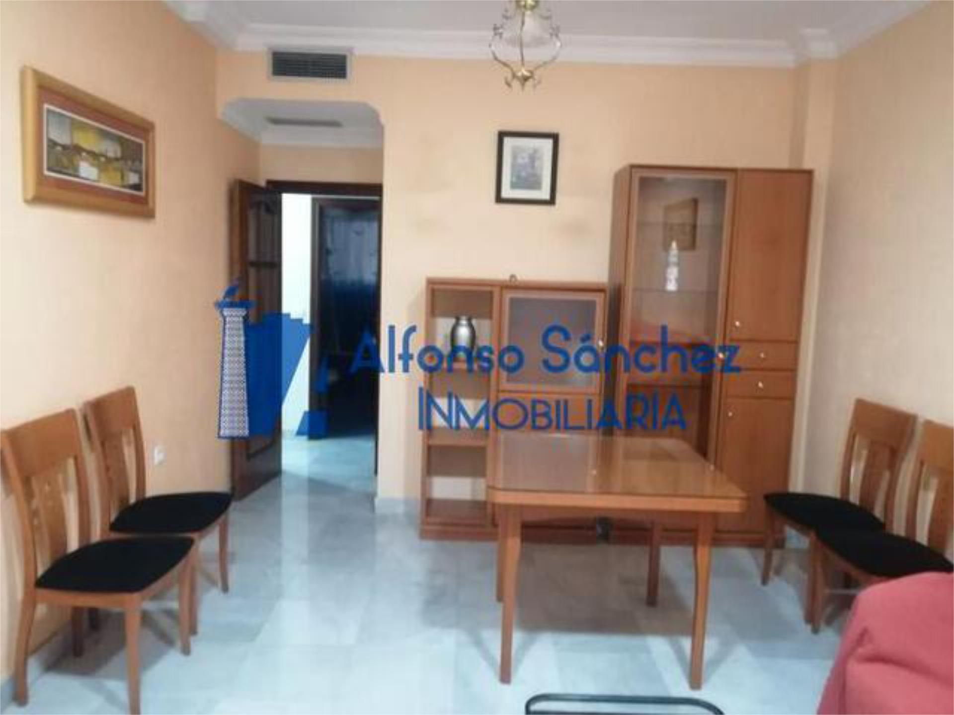 Sala d'estar de Apartament de lloguer en Almendralejo amb Calefacció i Moblat