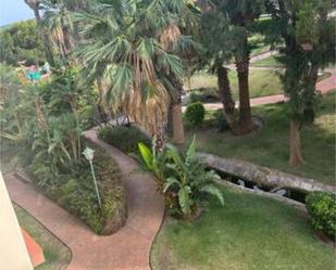 Jardí de Pis de lloguer en Algeciras amb Jardí privat, Terrassa i Piscina
