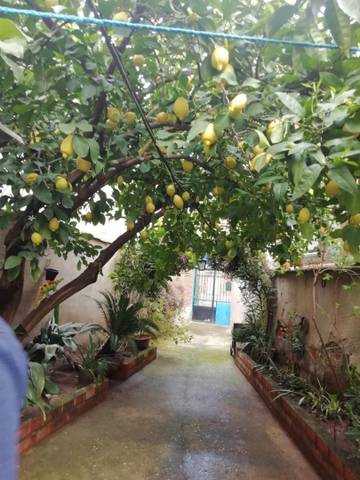 Casa adosada en Venta en Calle Reguerillo, 4 en Caleruela