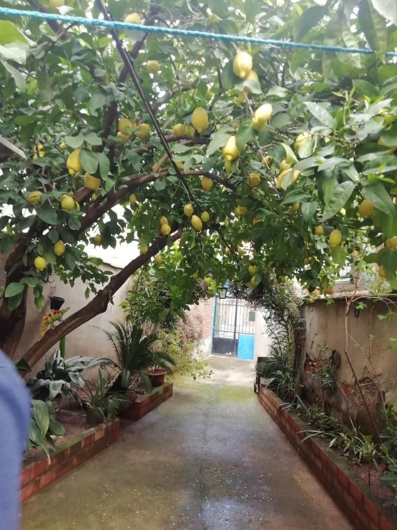 Jardí de Casa adosada en venda en Caleruela