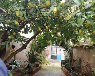 Garden of Single-family semi-detached for sale in Caleruela