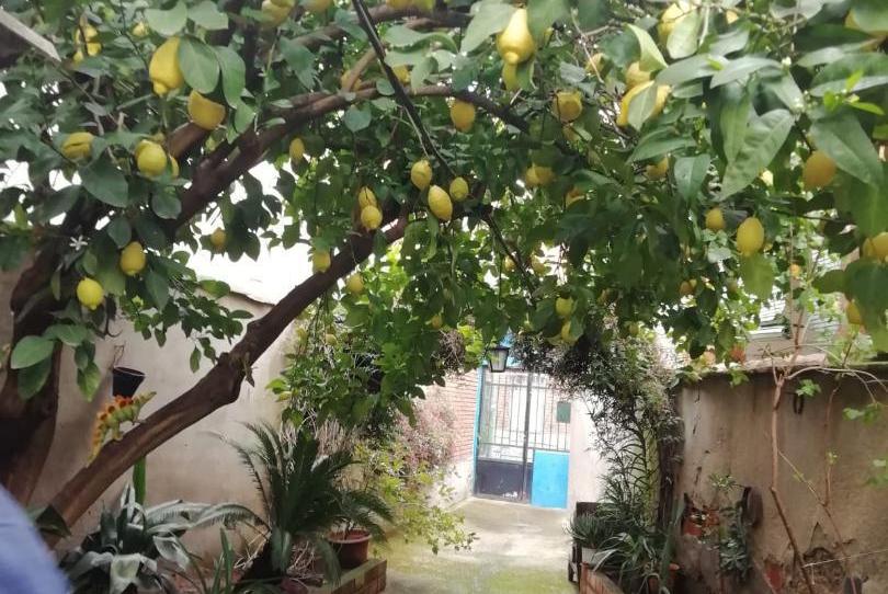 Casa adosada en venta en Calle Reguerillo, 4, Caleruela, Toledo - imagen 1 Foto 1 de Casa adosada en venta en Calle Reguerillo, 4, Caleruela, Toledo