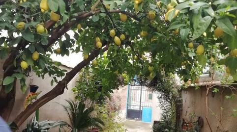 Casa adosada en venta en Calle Reguerillo, 4, Caleruela, Toledo - imagen 4 Foto 4 de Casa adosada en venta en Calle Reguerillo, 4, Caleruela, Toledo