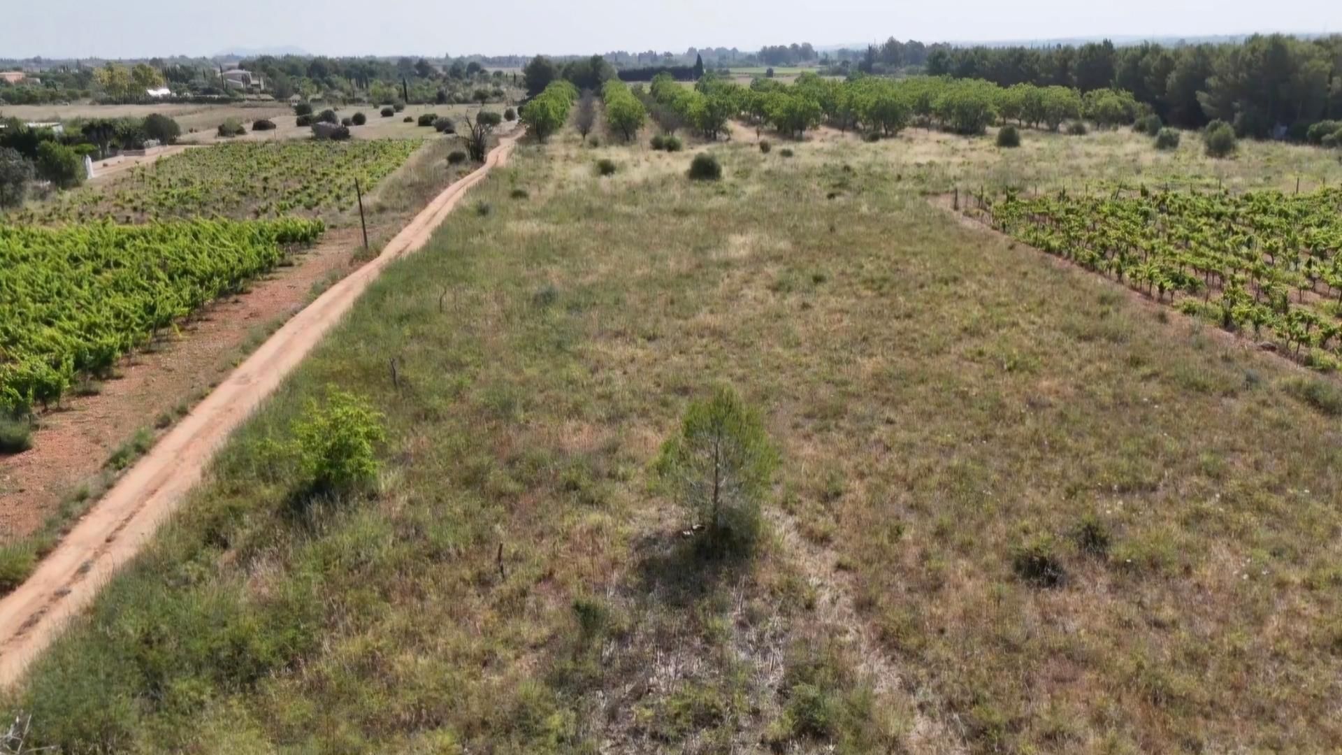 Finca rústica en venda en Santa María del Camí amb Jardí privat