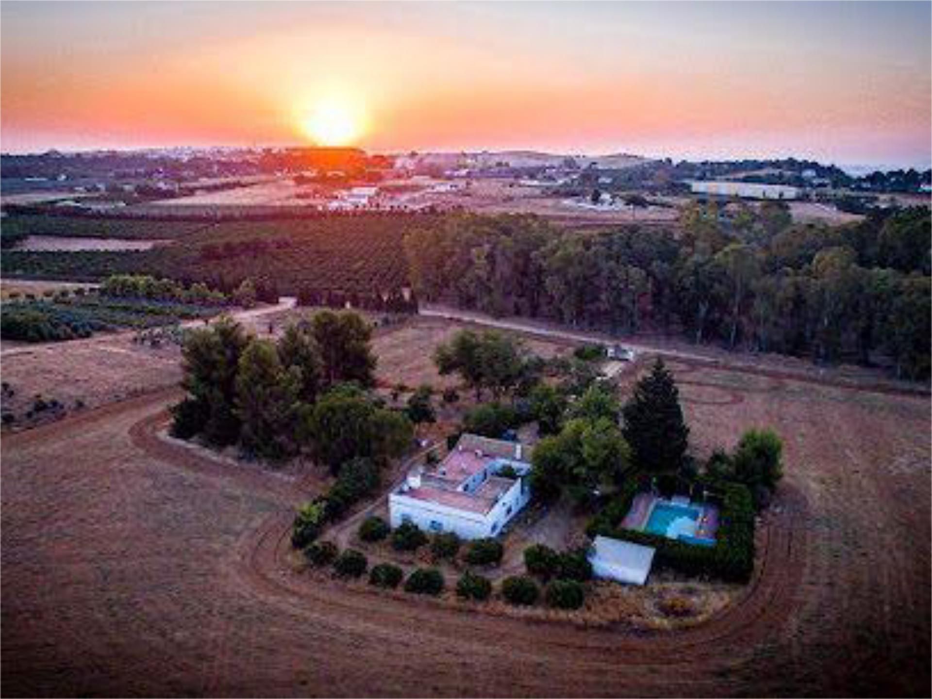Vista exterior de Casa o xalet de lloguer en Carmona amb Calefacció, Jardí privat i Terrassa