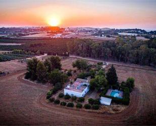 Exterior view of House or chalet to rent in Carmona  with Terrace and Swimming Pool