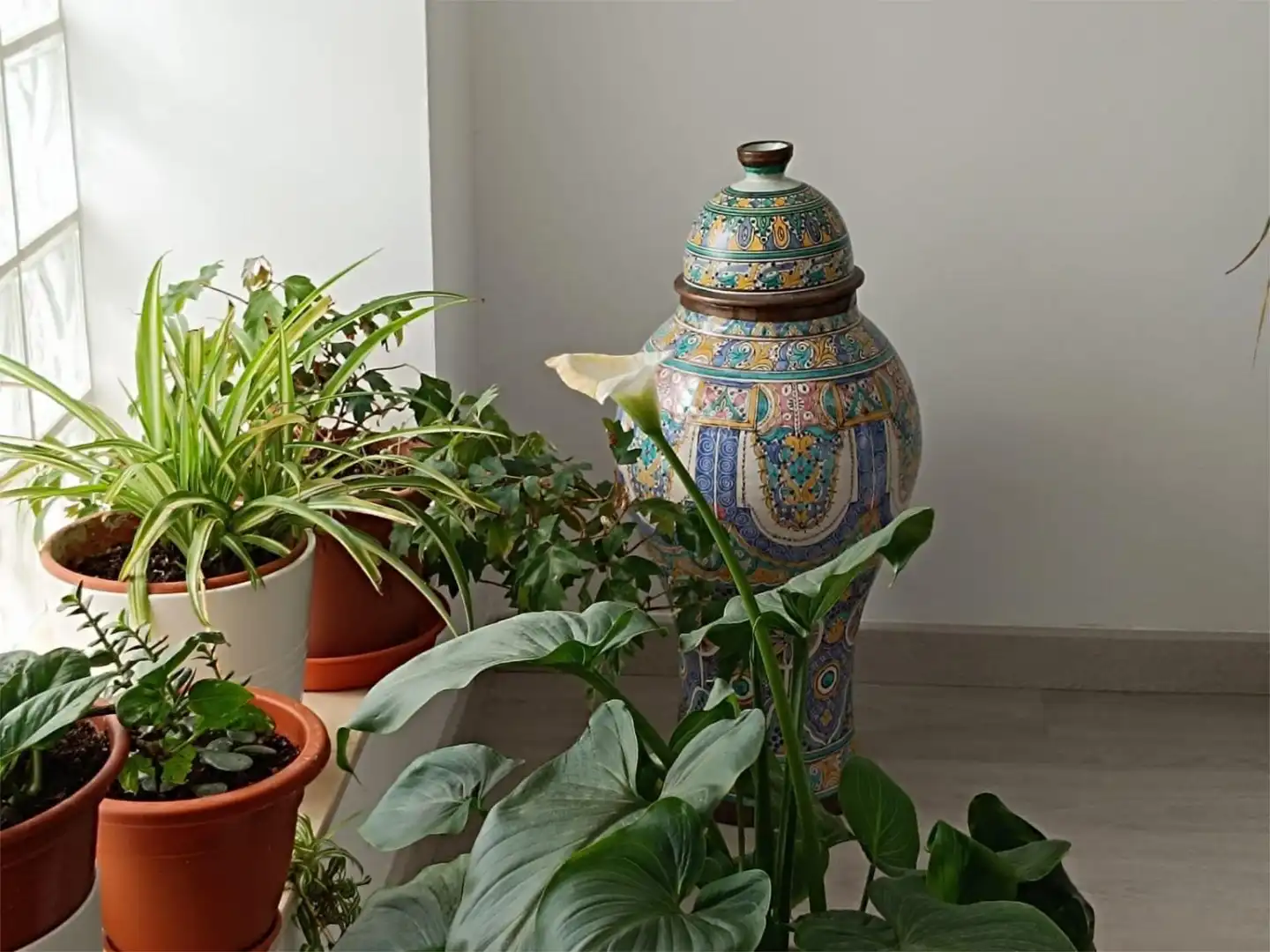 Detached homes for sale in Carrer del Poeta Llombart, 8, Centro Puerto Garden of Detached homes for sale in Sagunto / Sagunt with Air Conditioner, Terrace and Balcony