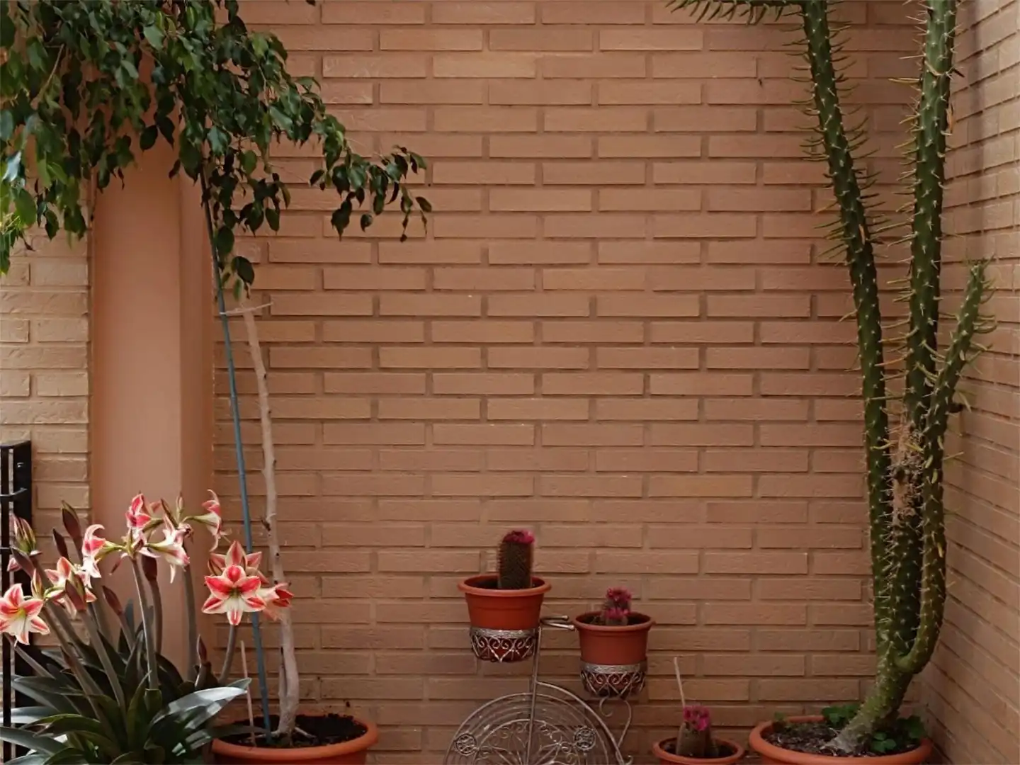 Detached homes for sale in Carrer del Poeta Llombart, 8, Centro Puerto Garden of Detached homes for sale in Sagunto / Sagunt with Air Conditioner, Terrace and Balcony