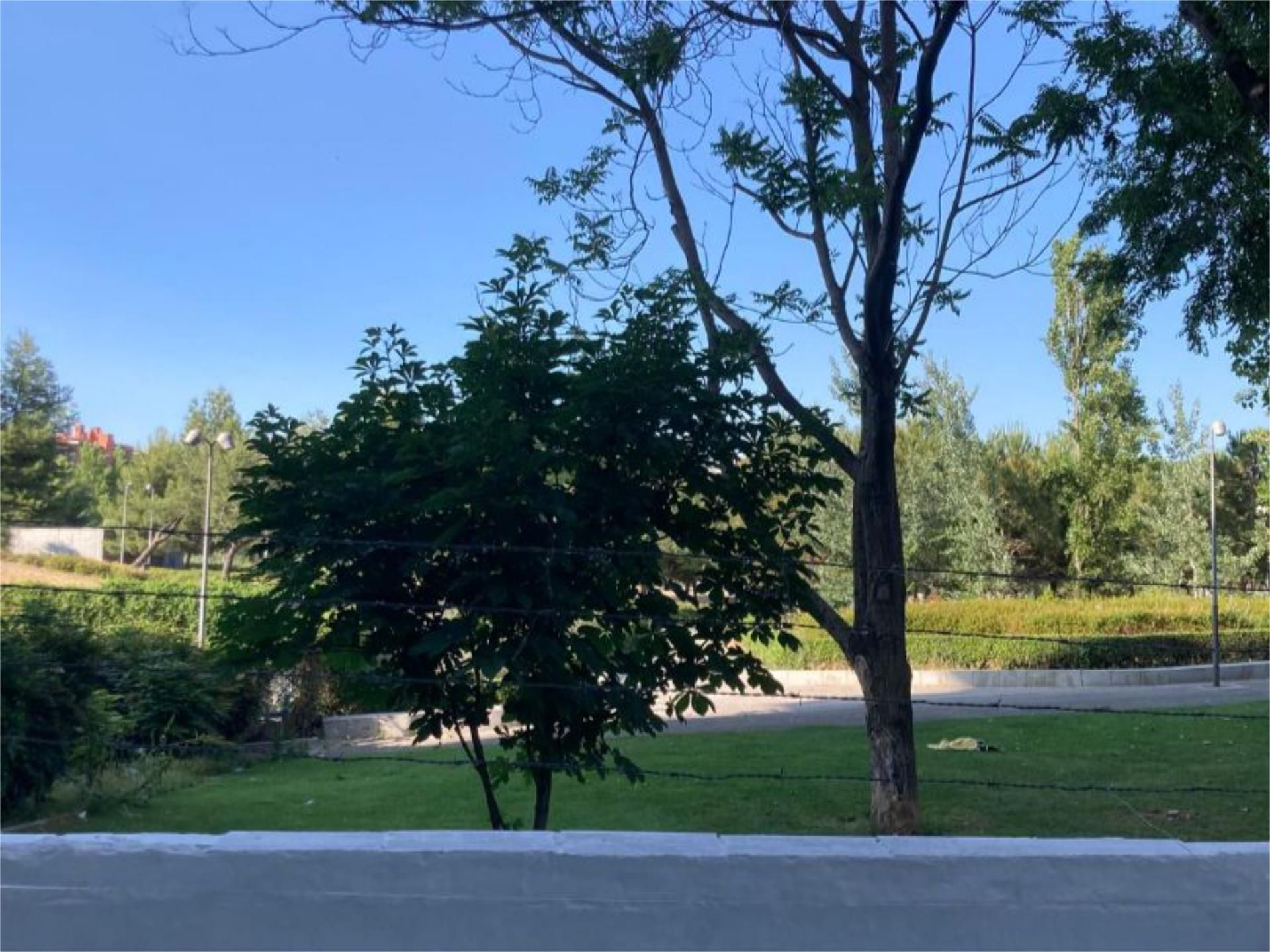 Exterior view of Flat for sale in  Madrid Capital