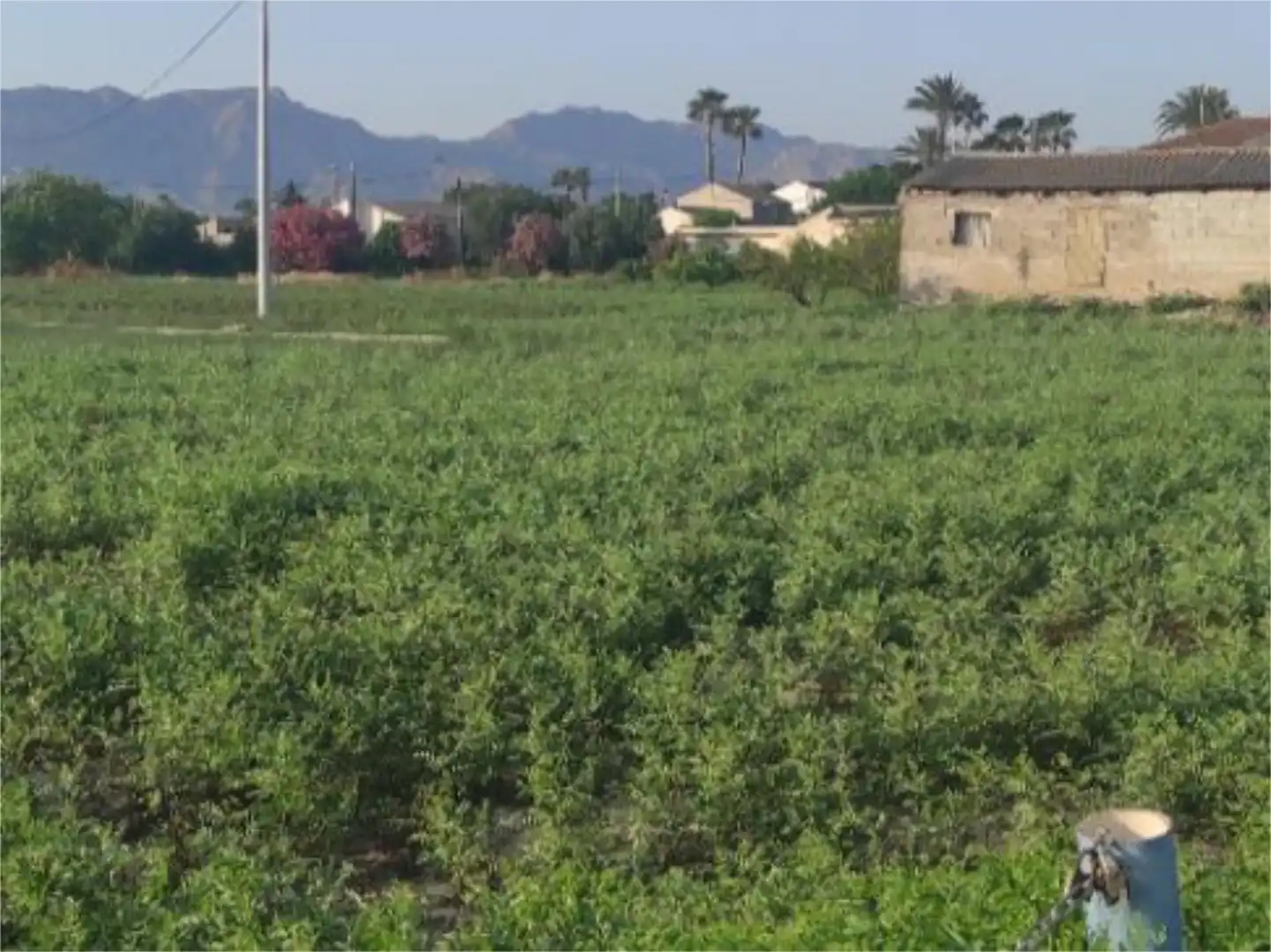 Pis en venda en Orihuela amb Aire condicionat, Calefacció i Jardí privat