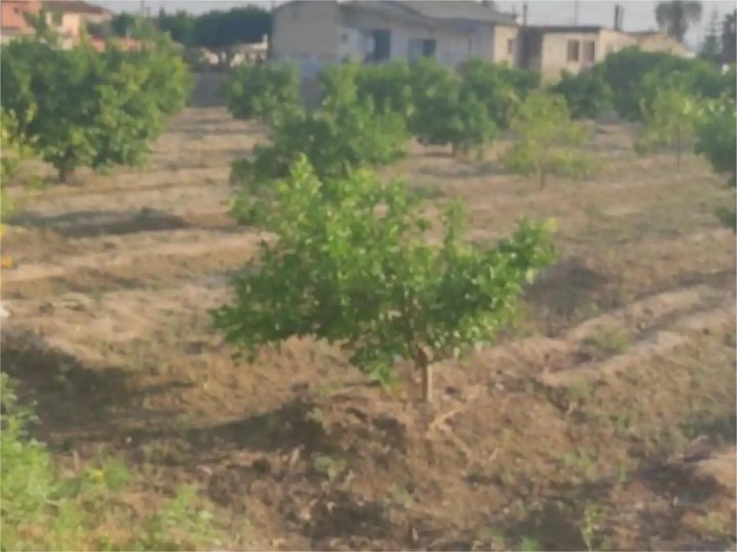 Pis en venda en Orihuela amb Aire condicionat, Calefacció i Jardí privat