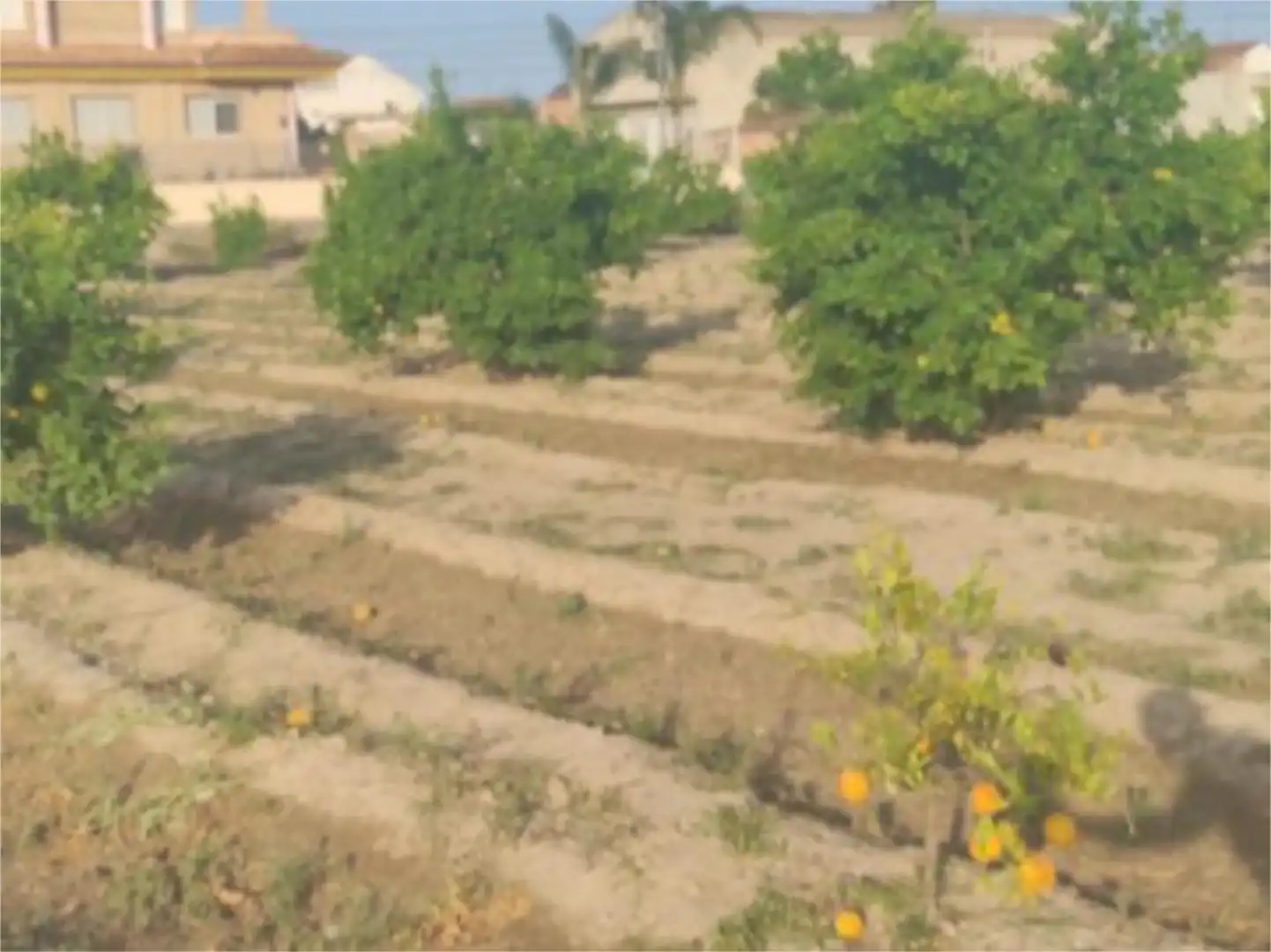 Pis en venda en Orihuela amb Aire condicionat, Calefacció i Jardí privat