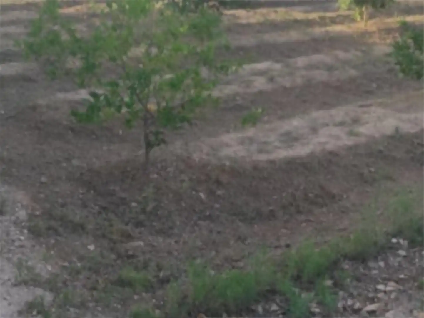 Pis en venda en Orihuela amb Aire condicionat, Calefacció i Jardí privat