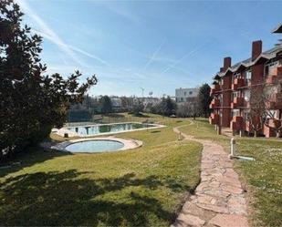 Swimming pool of Flat to rent in  Madrid Capital  with Heating, Private garden and Storage room