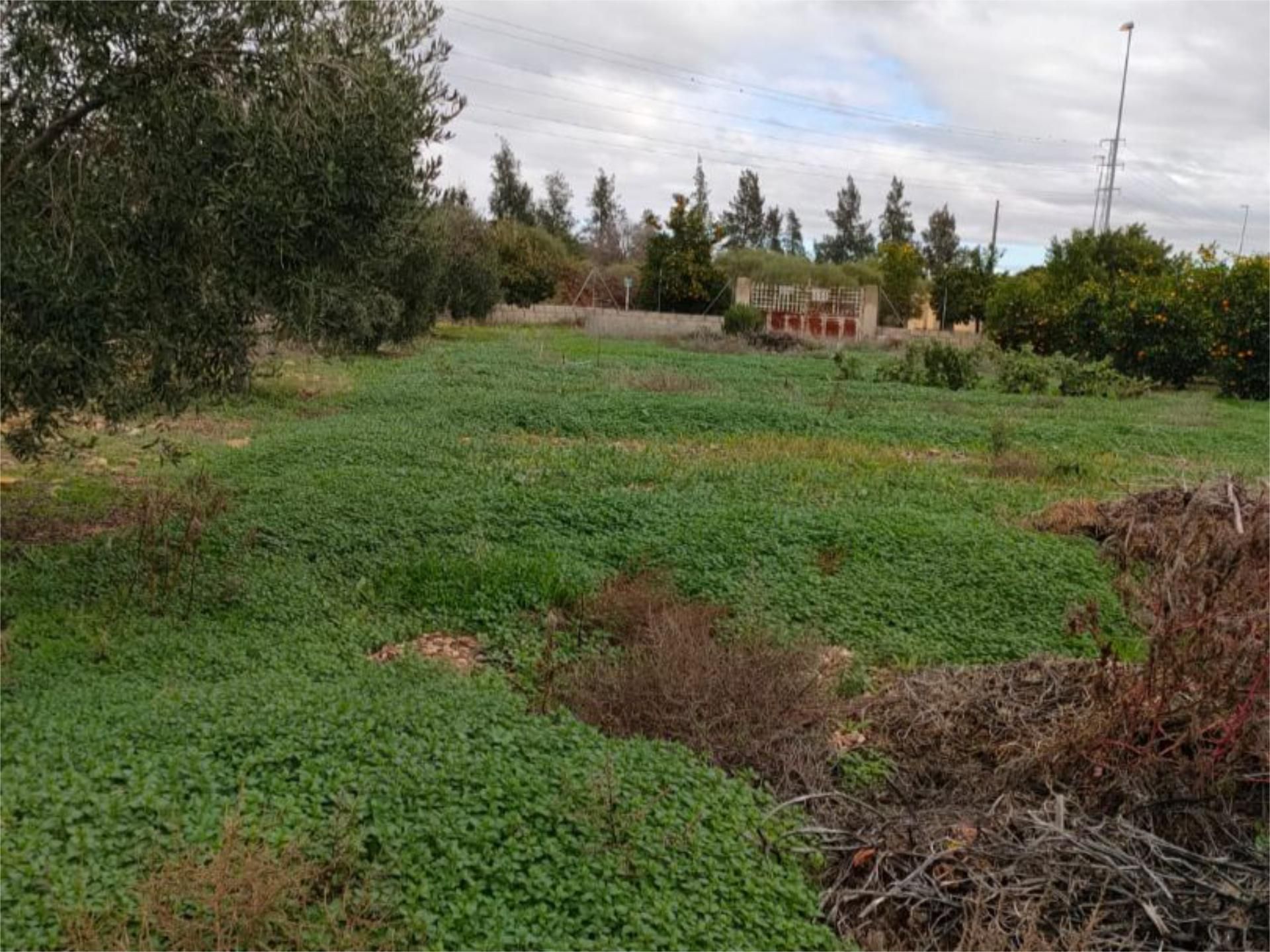 Urbanitzable en venda en La Carlota