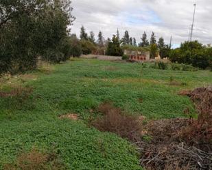 Constructible Land for sale in La Carlota