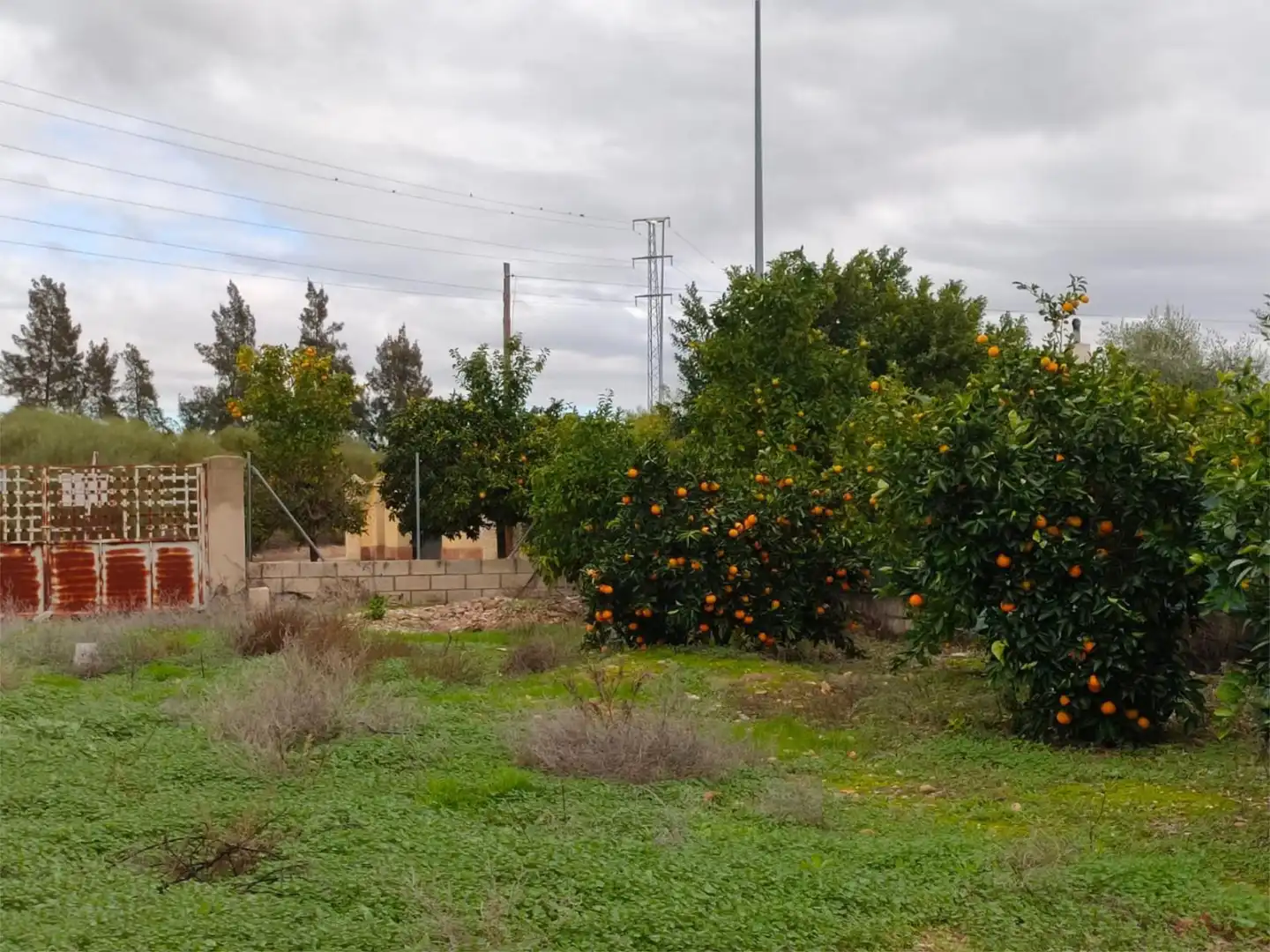 Urbanizable en venta en Avenida de San Isidro, 64, La Carlota Urbanizable en venta en La Carlota
