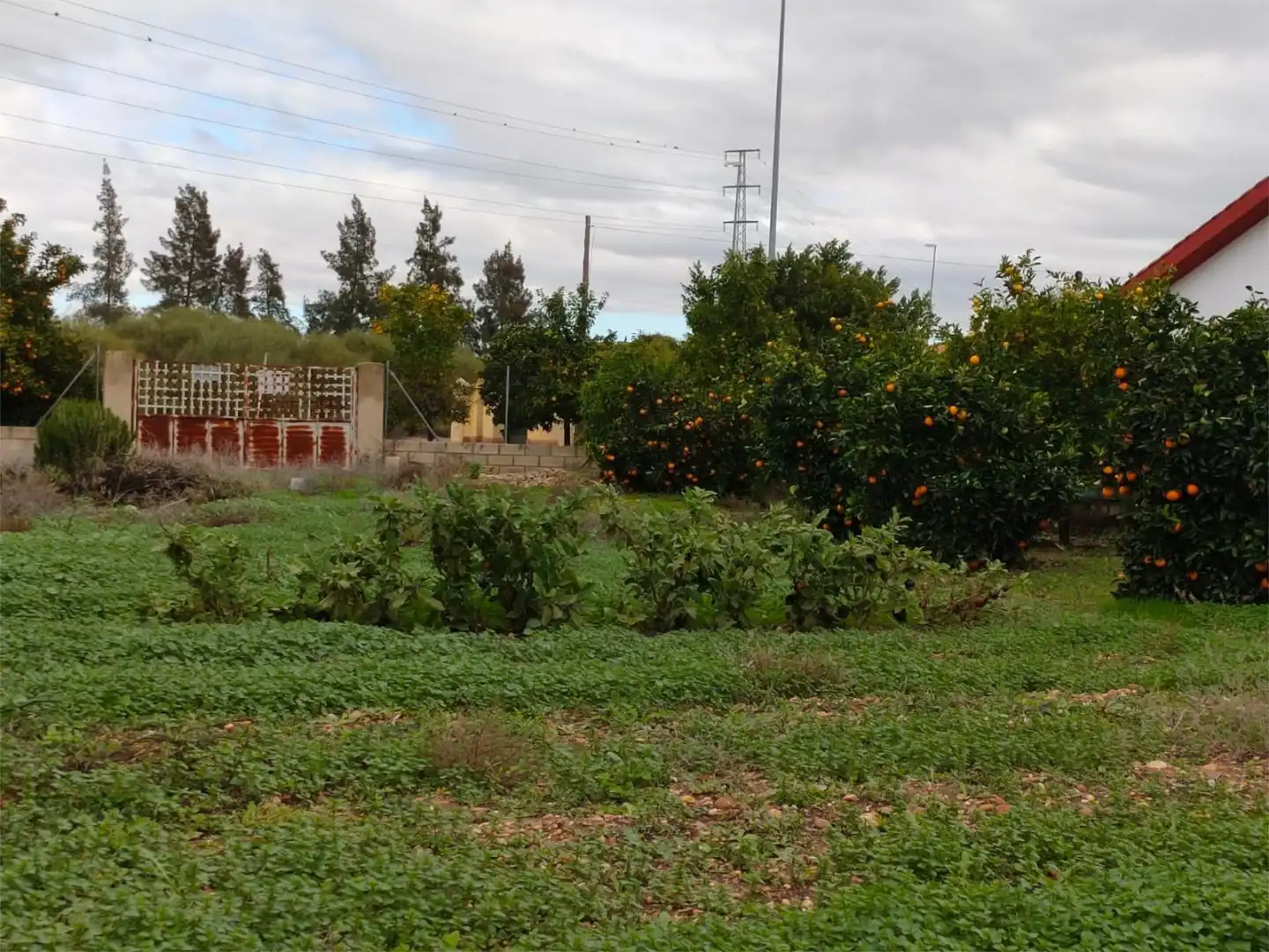 Urbanizable en venta en Avenida de San Isidro, 64, La Carlota Urbanizable en venta en La Carlota