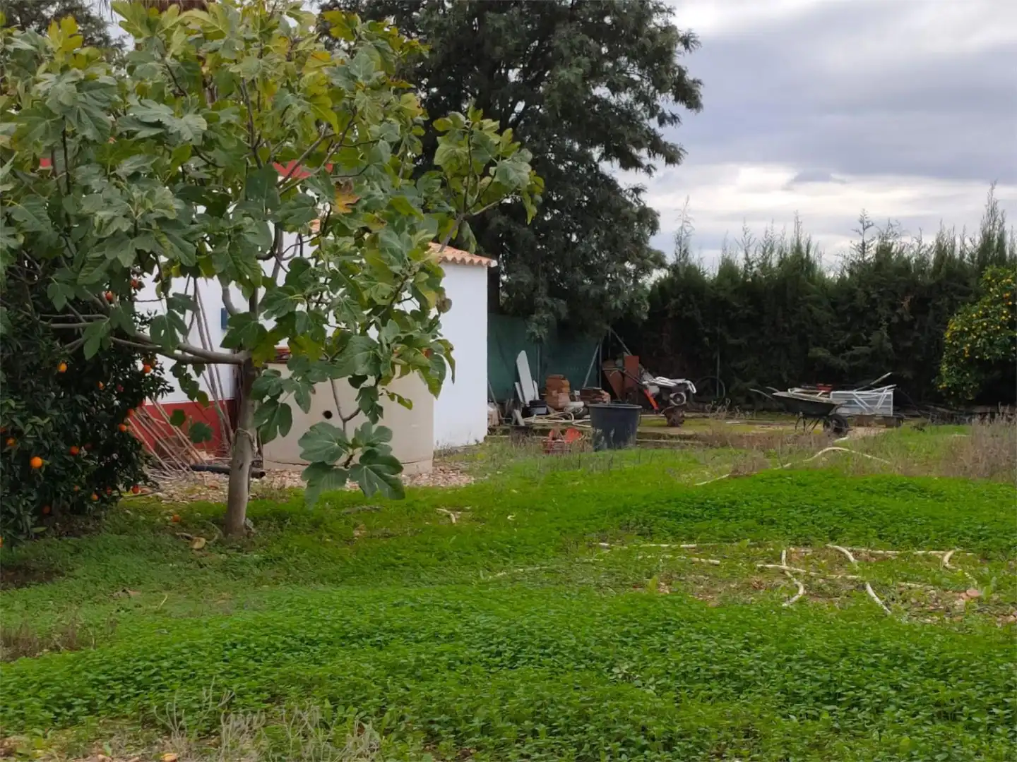 Urbanizable en venta en Avenida de San Isidro, 64, La Carlota Urbanizable en venta en La Carlota