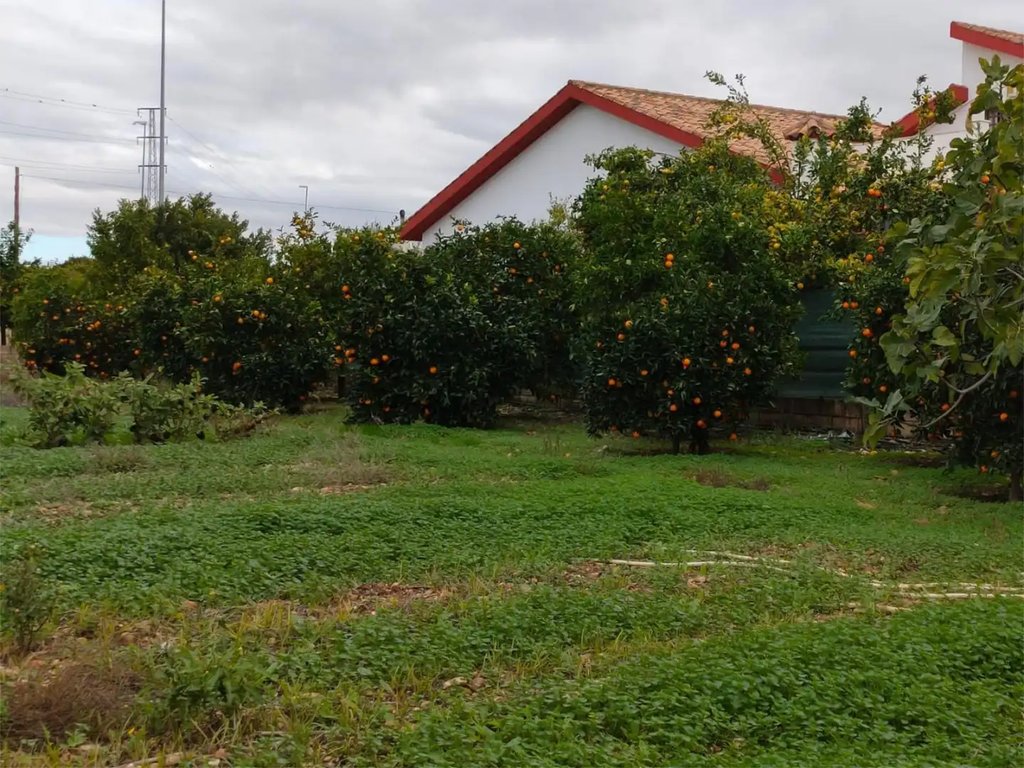 Urbanizable en venta en Avenida de San Isidro, 64, La Carlota Urbanizable en venta en La Carlota