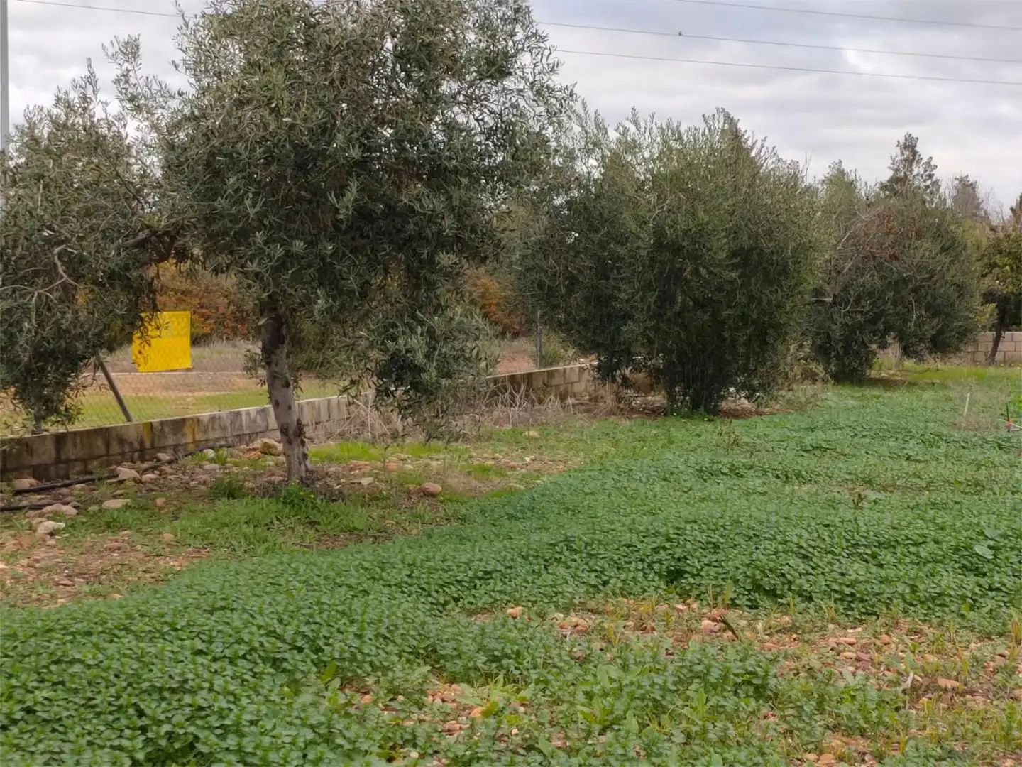 Urbanizable en venta en Avenida de San Isidro, 64, La Carlota Urbanizable en venta en La Carlota