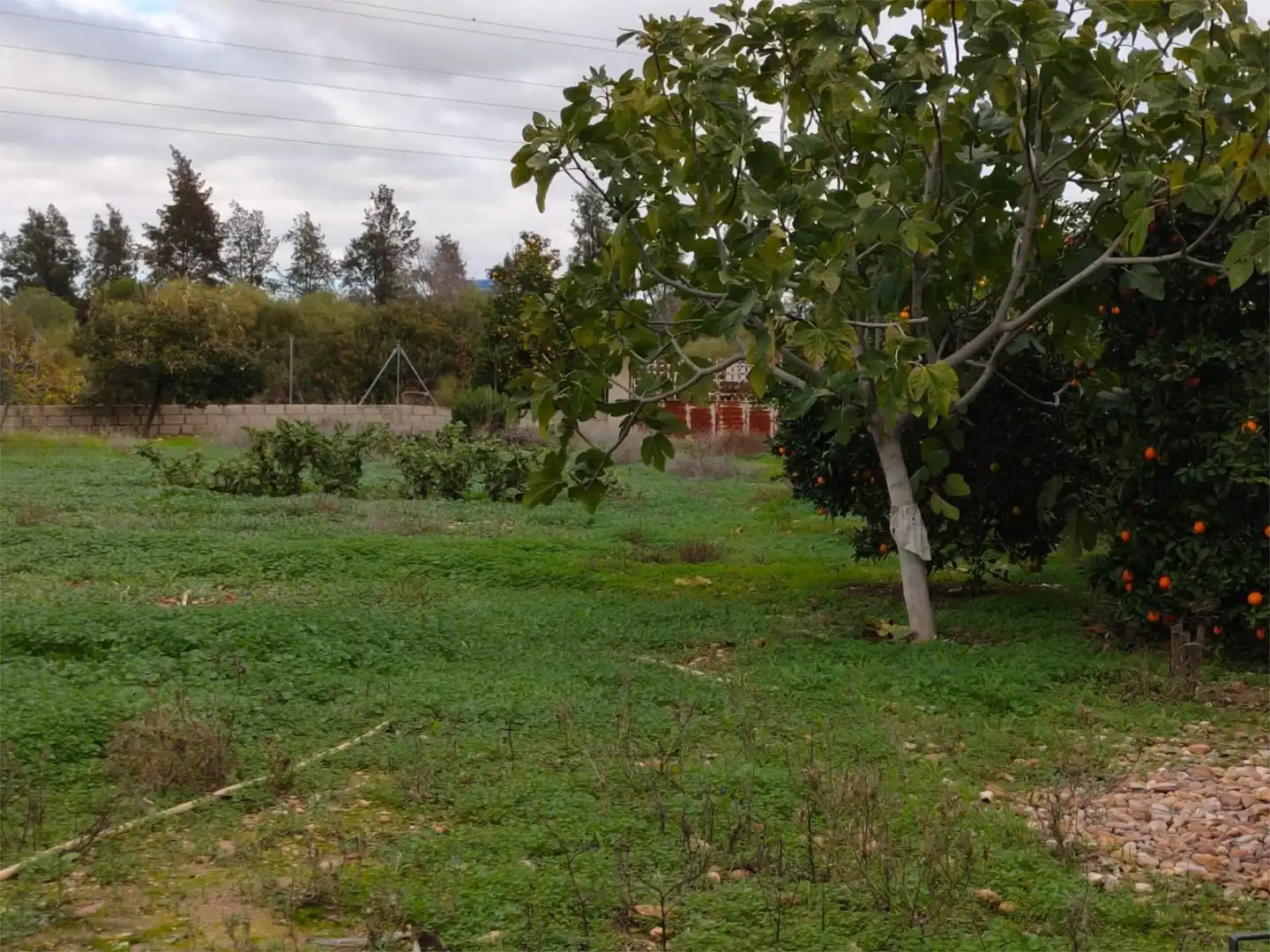 Urbanizable en venta en Avenida de San Isidro, 64, La Carlota Urbanizable en venta en La Carlota