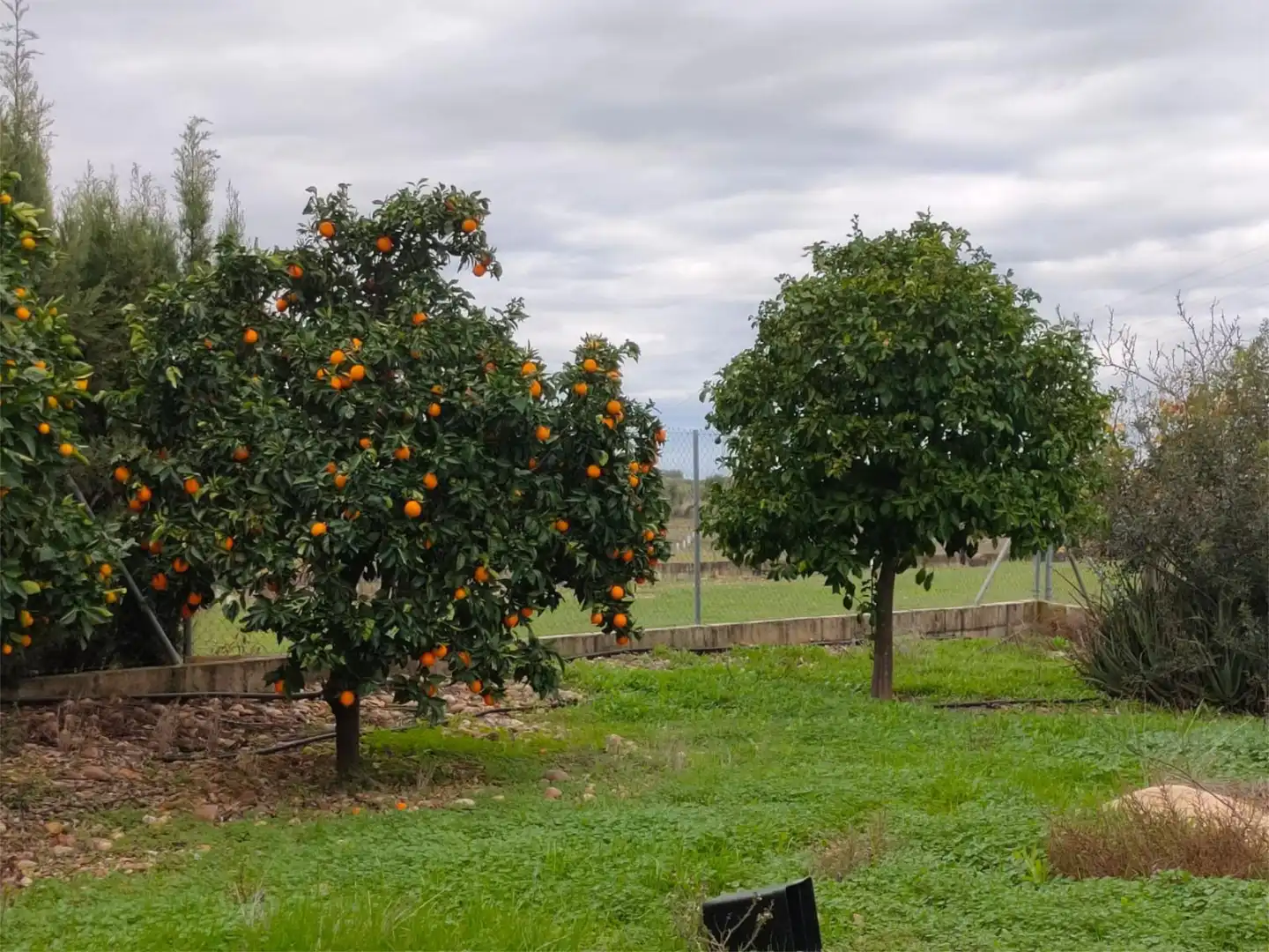 Urbanizable en venta en Avenida de San Isidro, 64, La Carlota Jardín de Urbanizable en venta en La Carlota