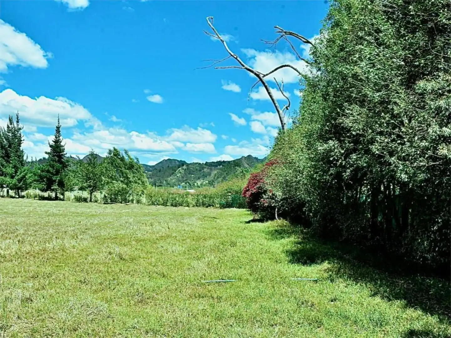 Country homes for sale in Calle Menéndez Pidal, 5, El Chorrillo - El Molino Country homes for sale in Rota with Storage room and Furnished