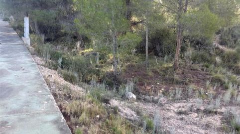 Photo 4 of Constructible Land for sale in Urbanització Terol D, 29, Tibi, Alicante