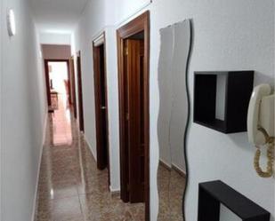 Flat to rent in  Jaén Capital  with Terrace and Furnished