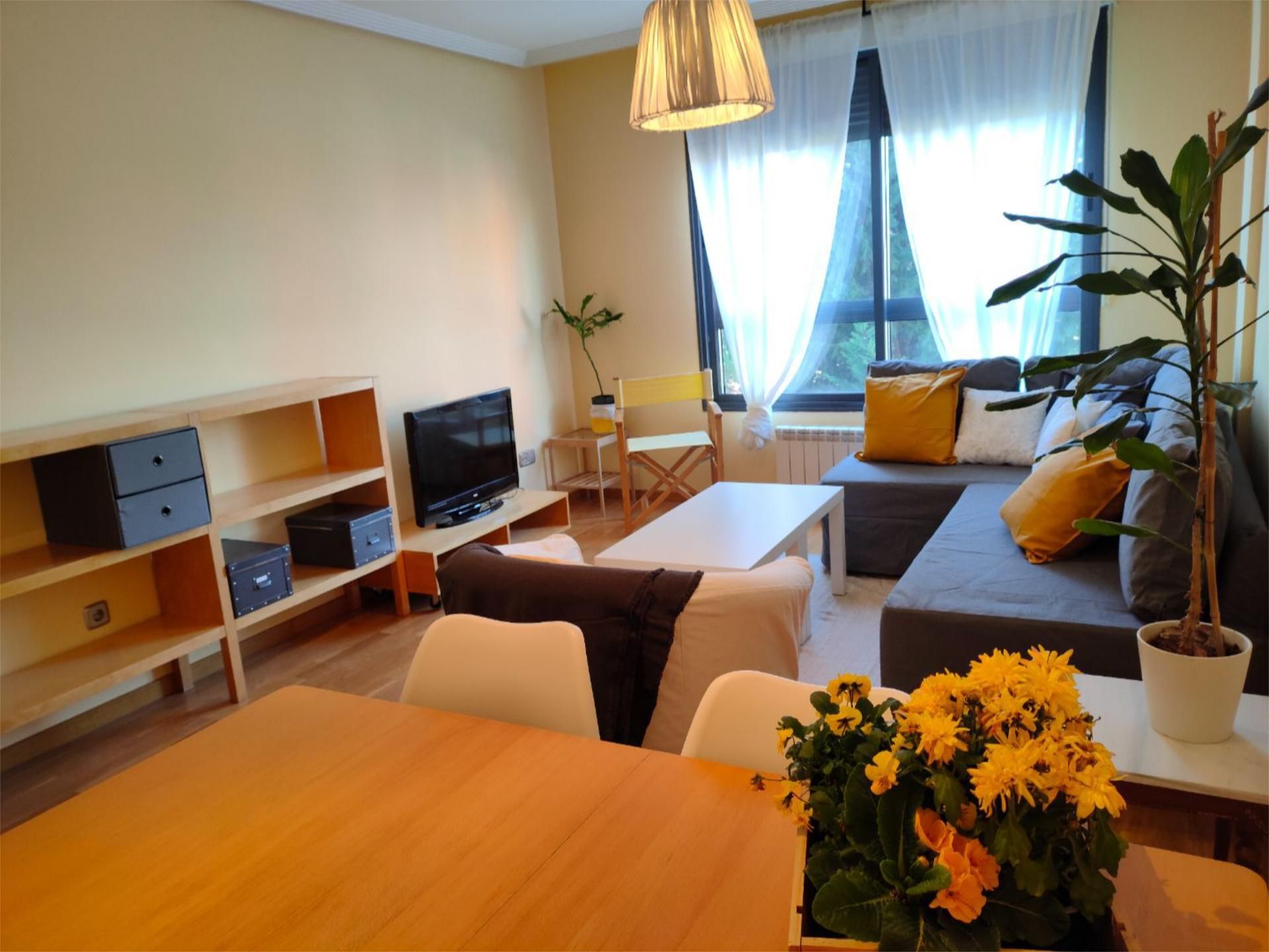 Living room of Flat to rent in Valladolid Capital  with Heating, Private garden and Parquet flooring